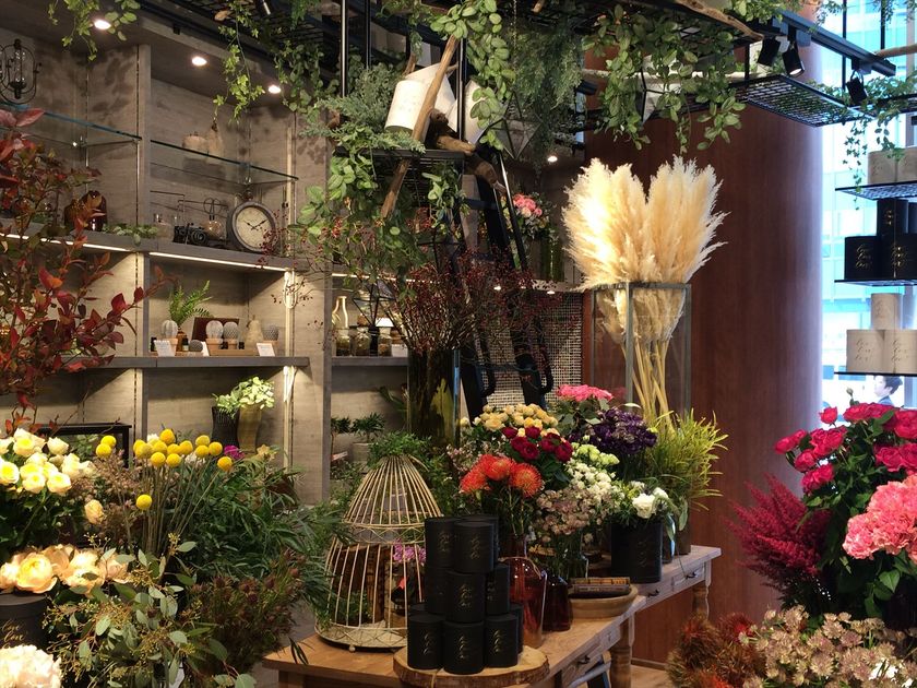 東京藝術大学大学院　箭内道彦研究室と日比谷花壇の
コラボレーションによる
ウインドウディスプレイが登場
日比谷花壇　パルコヤ上野店を
11月4日（土）にグランドオープン