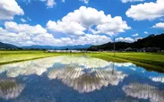 田園風景はリオオリンピック会場に展示されました