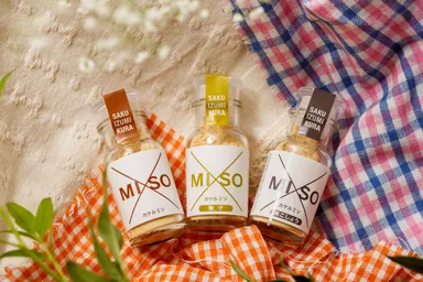 ×MISOイメージ(2)