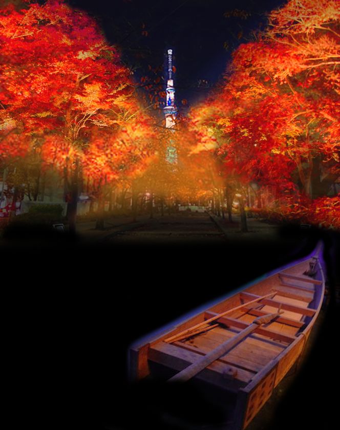 奥浅草の隠れた名所 山谷掘公園にて夜さくら紅葉をライトアップする 山谷掘紅葉回廊 11月17日 金 スタート 一般社団法人 奥浅草 観光協会のプレスリリース