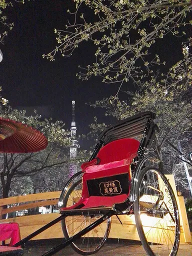 春開催 2017桜回廊の様子(ライトアップ)