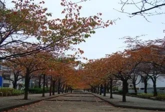 山谷掘公園昼間の様子