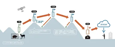 オリワナ通信：通信の流れ