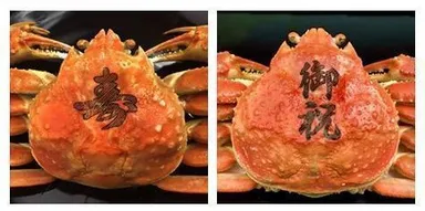 メインビジュアル2