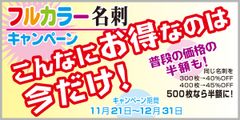 名刺印刷、最大半額(50％)値引きの破格値キャンペーン実施！年末に向けて海外印刷工場協賛のもと特別価格を実現