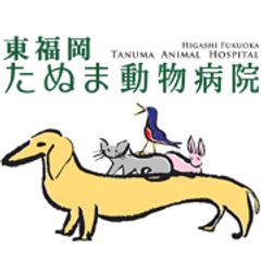 東福岡たぬま動物病院