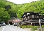 旧御坂トンネルと桜の茶屋（山梨県）
