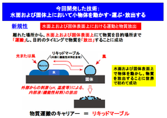 小物体を“水陸両用”で運搬する技術を世界で初めて開発　光や風の力で隣接する水面と固体面を自由に行き来きさせ、遠隔操作で中身を放出