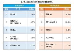 スプリックス、中学生男女が選ぶ『2017年 流行語』アンケート結果を公開　SNSの“タイムライン型コミュニケーション”時代を反映