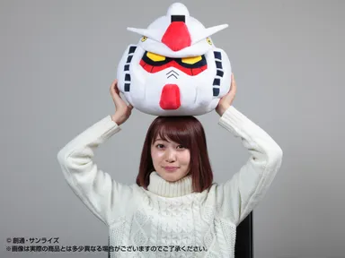 RX-78-2 GUNDAM(ガンダム)(3)