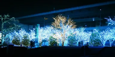 京セライルミネーション2