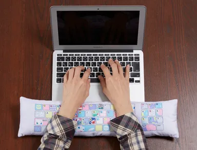 アームレスト(使用イメージ)