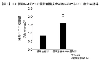 【図1】FPP摂取によるヒトの慢性創傷炎症細胞におけるROS産生の誘導