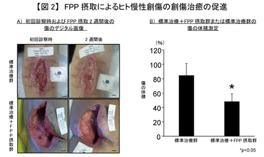 【図2】FPP摂取によるヒト慢性創傷の創傷治癒の促進