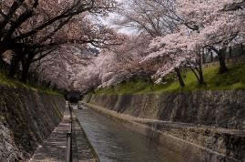 明治の偉業にロマンを馳せる観光船
平成30年春「琵琶湖疏水通船」復活！