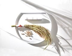 出荷数3万本を突破した天然ヒト型セラミドを配合した全成分日本製のオールインワンゲルが国際化粧品展に参戦！