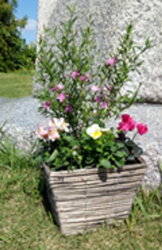 クリスマスシーズンを迎え、
クリスマスをテーマにした体験型イベントを開催