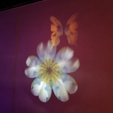 若林 寛_投影万華鏡2