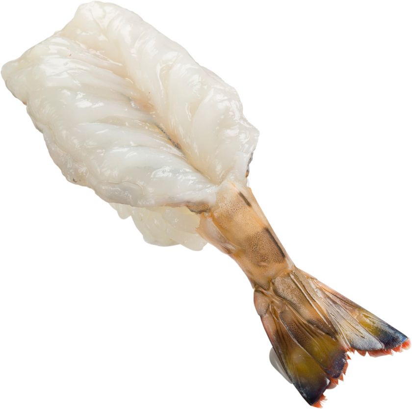 『天然生車海老』 100円（＋税）
本日より全国のスシローにて期間限定販売！