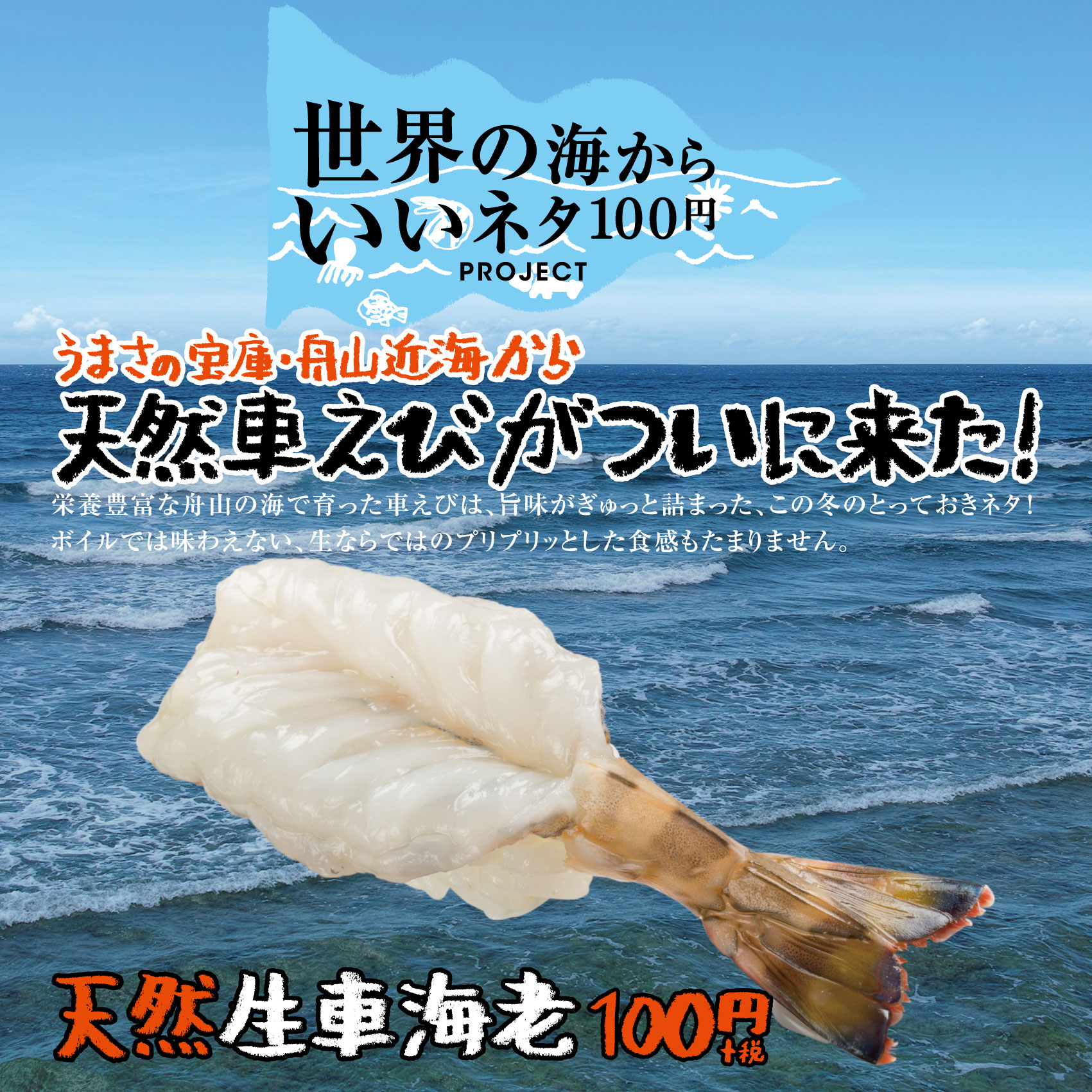 天然生車海老 100円 税 本日より全国のスシローにて期間限定販売 株式会社あきんどスシローのプレスリリース