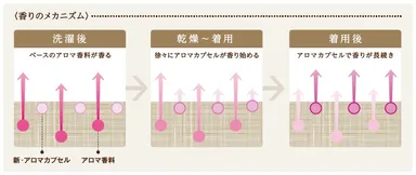 香りのメカニズム