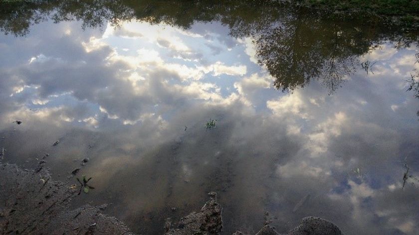 明治大学生田図書館 Gallery ZERO
「北海道」作品と図書の展示
12月8日（金）～12月24日（日）に、生田キャンパスで開催