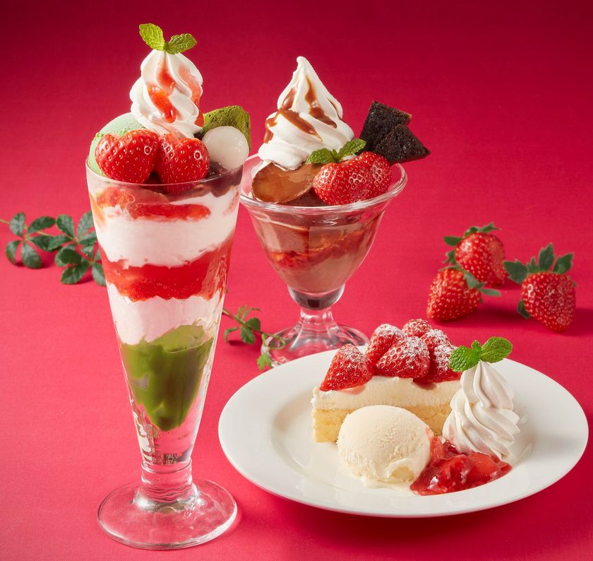 年末年始の様々なシーンで食べられる
国産いちごスイーツ
話題沸騰中の“シメパフェ”にもぴったり！
いろいろいちごのごほうびスイーツ