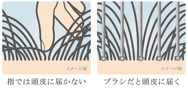 頭皮を健やかに保つ