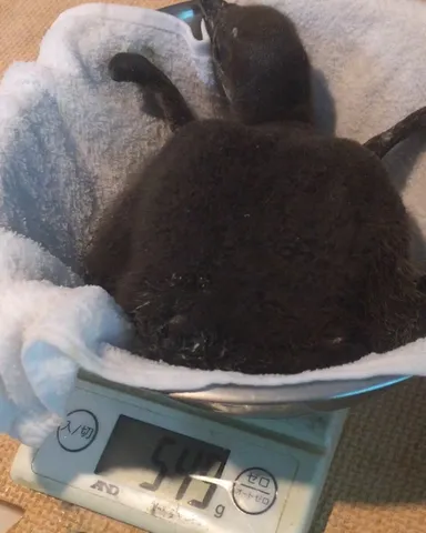 細かく健康チェックしています