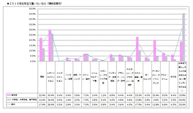 お年玉で買いたいもの