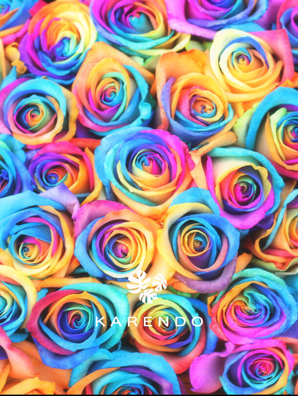 虹色のバラ など 上質かつ遊び心溢れるフラワーギフト Karendo が京都マルイに17年12月7日 木 新店オープン 株式会社花 恋人のプレスリリース