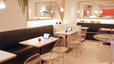 恋愛コンセプトカフェ「ロハス」店内_3