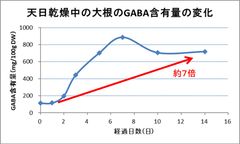画像2：天日乾燥中の大根のGABA