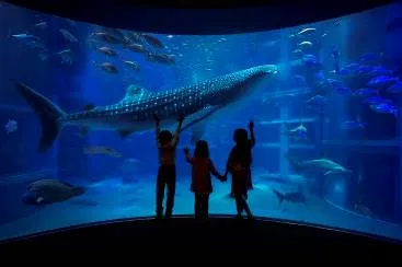 海遊館スペシャルツアー福袋イメージ