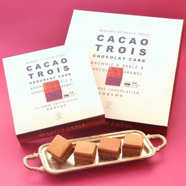 カカオトロワ外箱(4個入・9個入)