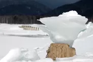 糠平湖の冬の風物詩・キノコ氷