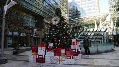 クリスマスツリーが心に突き刺さる