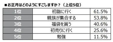 お正月の過ごし方