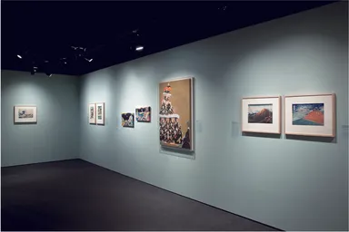 photo by Richard Goodbody   2013 "EDO POP"Japan Society Gallery, NY
