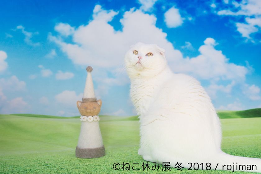 ねこ休み展 本祭 詳細決定 有名作家が愛猫をイラストに ニャイト パーティーなどの18年新企画も盛りだくさん 株式会社baconのプレスリリース