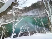 幻想的な冬の五色沼