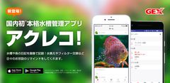 スマホで魚の成長を簡単に記録！GEX公式水槽管理アプリ『アクレコ！』リリース