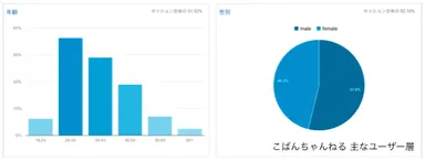 主なユーザー像