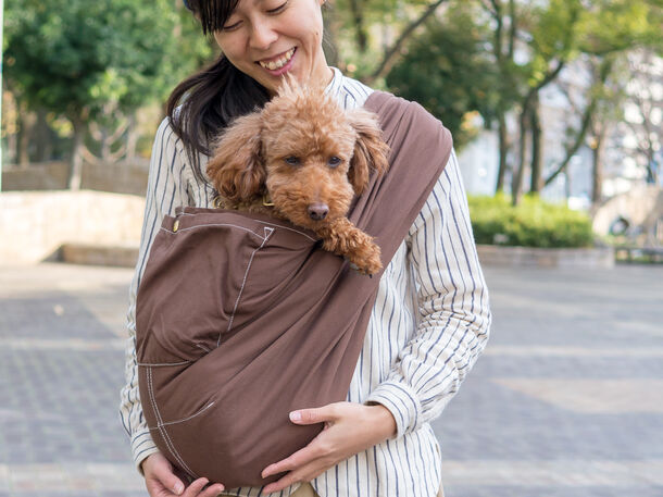 犬用 抱っこ紐 専門店 大阪市に1月10日オープン 360kgの負荷に耐える頑丈さ 肩腰に優しい使いやすさを両立 Erva合同会社のプレスリリース