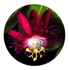 写真展『私と左手の肖像～難病、関節リウマチとの闘い』運営事務局