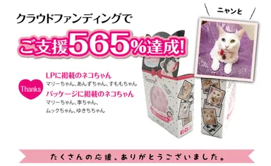 クラウドファンディング