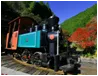 森林鉄道の乗車体験