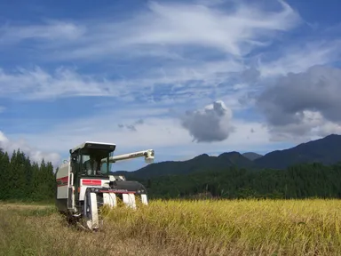 飛騨の米