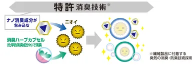 メカニズム画像