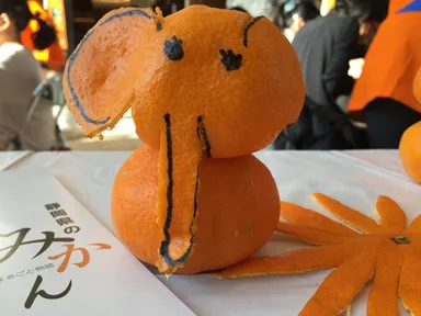 みかんの皮むきアート体験